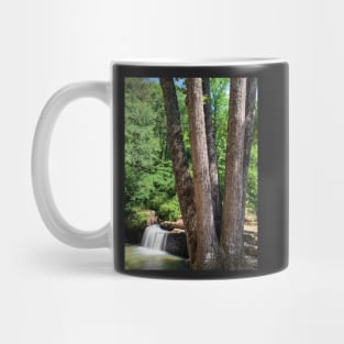 Freeman's Mill Park Mug